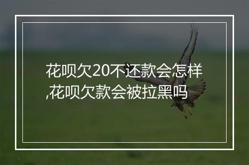 花呗欠20不还款会怎样,花呗欠款会被拉黑吗