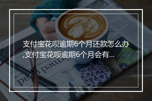 支付宝花呗逾期6个月还款怎么办,支付宝花呗逾期6个月会有什么后果