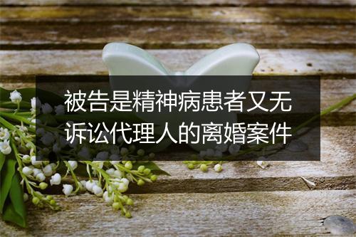 被告是精神病患者又无诉讼代理人的离婚案件