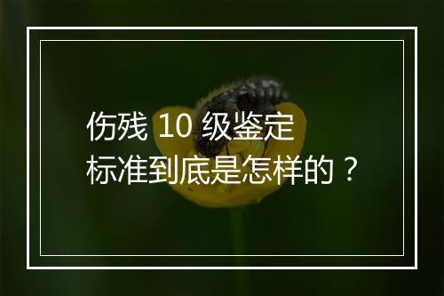 伤残 10 级鉴定标准到底是怎样的？