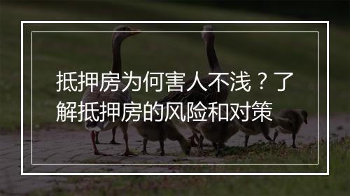 抵押房为何害人不浅？了解抵押房的风险和对策