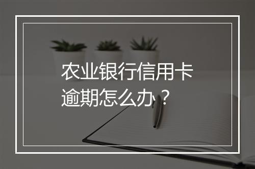 农业银行信用卡逾期怎么办？