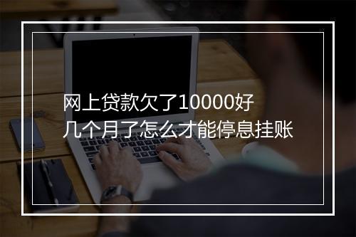 网上贷款欠了10000好几个月了怎么才能停息挂账