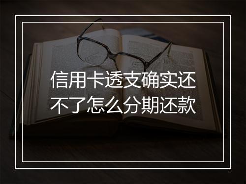信用卡透支确实还不了怎么分期还款