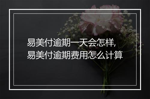 易美付逾期一天会怎样,易美付逾期费用怎么计算