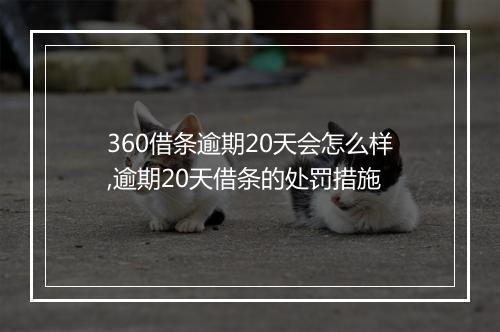360借条逾期20天会怎么样,逾期20天借条的处罚措施