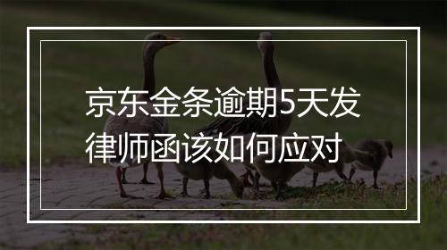 京东金条逾期5天发律师函该如何应对