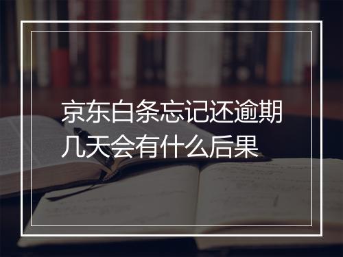 京东白条忘记还逾期几天会有什么后果