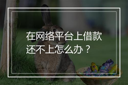 在网络平台上借款还不上怎么办？