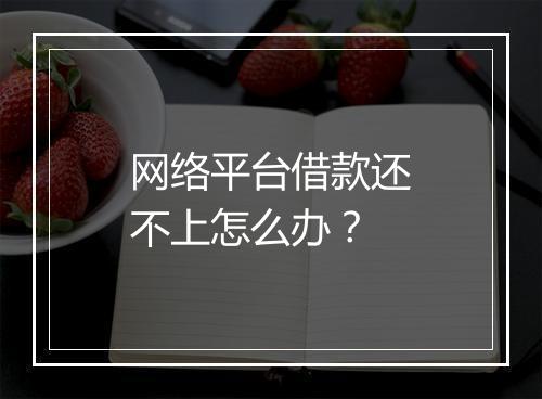 网络平台借款还不上怎么办？