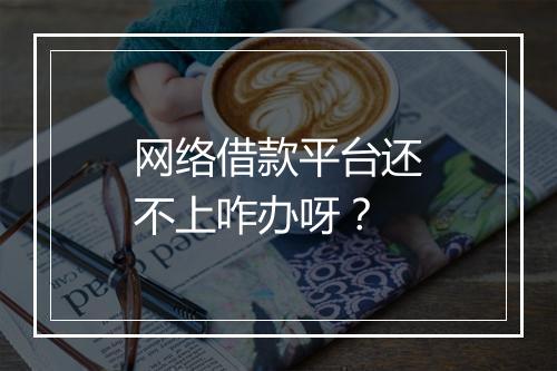 网络借款平台还不上咋办呀？
