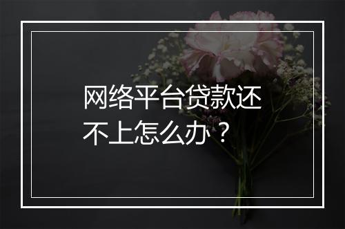 网络平台贷款还不上怎么办？