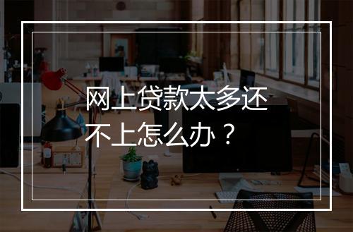 网上贷款太多还不上怎么办？