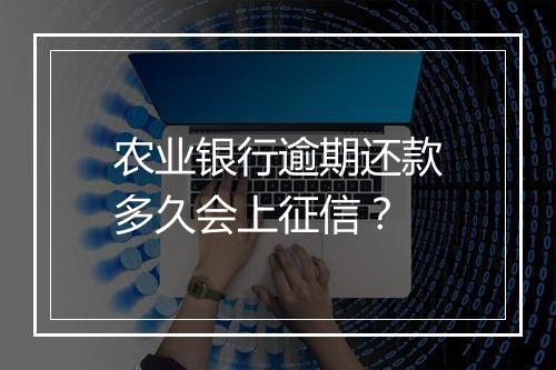农业银行逾期还款多久会上征信？