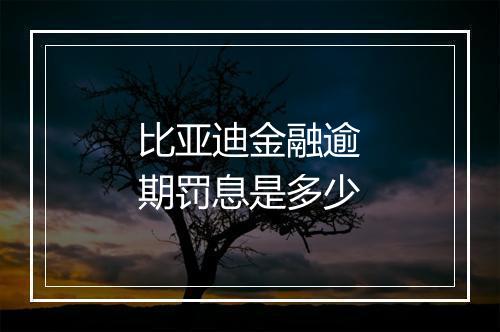 比亚迪金融逾期罚息是多少
