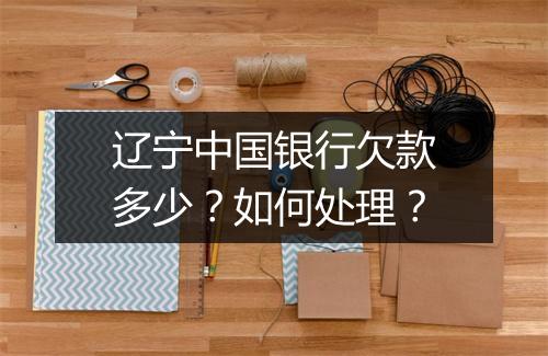 辽宁中国银行欠款多少？如何处理？
