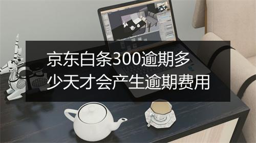 京东白条300逾期多少天才会产生逾期费用