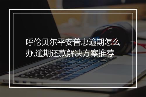 呼伦贝尔平安普惠逾期怎么办,逾期还款解决方案推荐