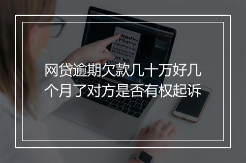 网贷逾期欠款几十万好几个月了对方是否有权起诉