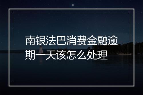 南银法巴消费金融逾期一天该怎么处理