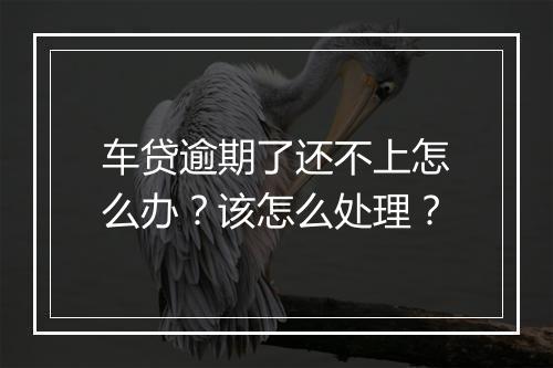 车贷逾期了还不上怎么办？该怎么处理？