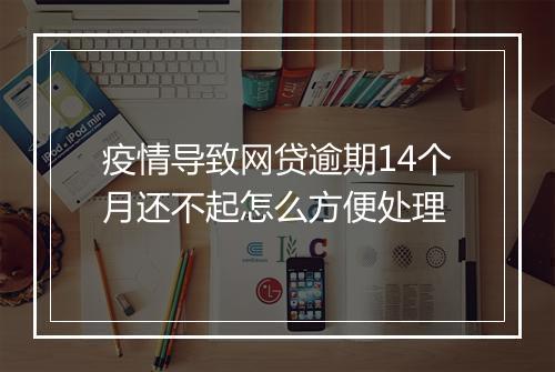 疫情导致网贷逾期14个月还不起怎么方便处理