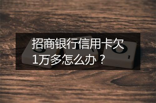 招商银行信用卡欠1万多怎么办？