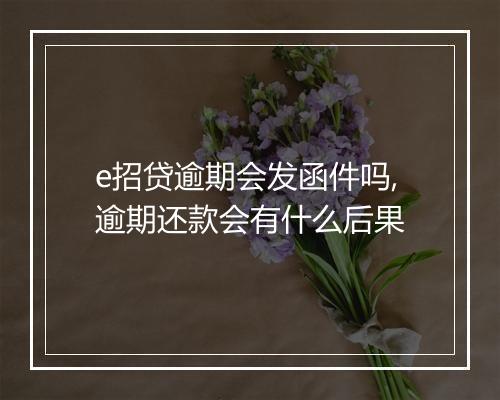 e招贷逾期会发函件吗,逾期还款会有什么后果