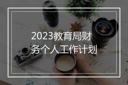 2023教育局财务个人工作计划