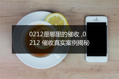 0212是哪里的催收 ,0212 催收真实案例揭秘