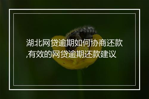 湖北网贷逾期如何协商还款,有效的网贷逾期还款建议