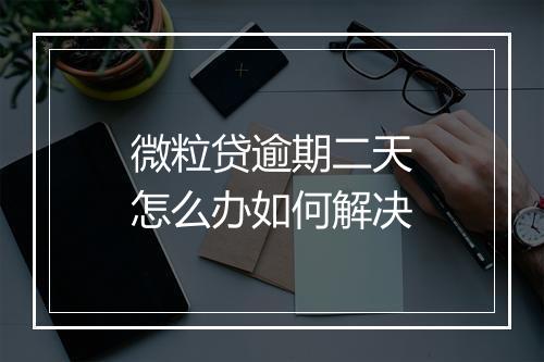 微粒贷逾期二天怎么办如何解决