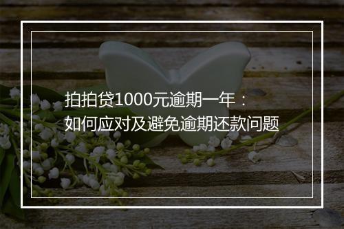 拍拍贷1000元逾期一年：如何应对及避免逾期还款问题