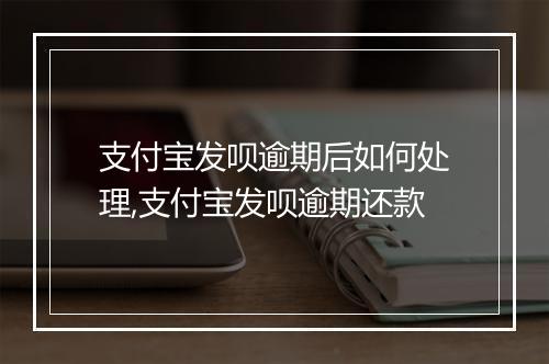 支付宝发呗逾期后如何处理,支付宝发呗逾期还款