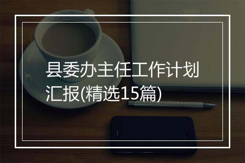 县委办主任工作计划汇报(精选15篇)