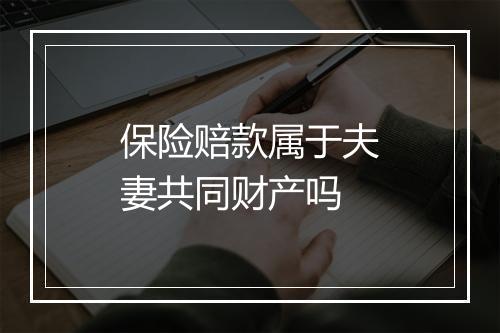 保险赔款属于夫妻共同财产吗