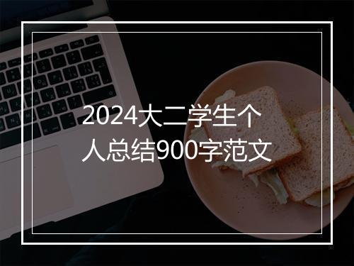 2024大二学生个人总结900字范文