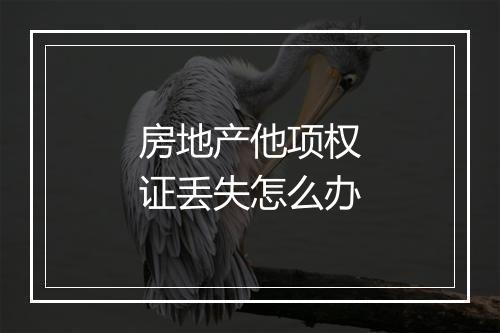 房地产他项权证丢失怎么办