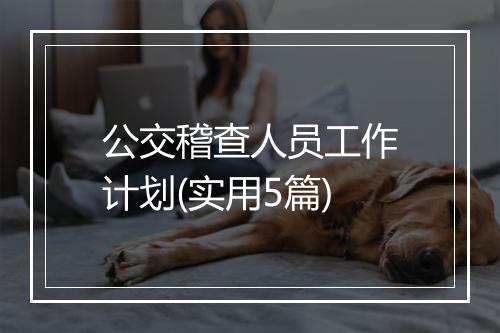公交稽查人员工作计划(实用5篇)