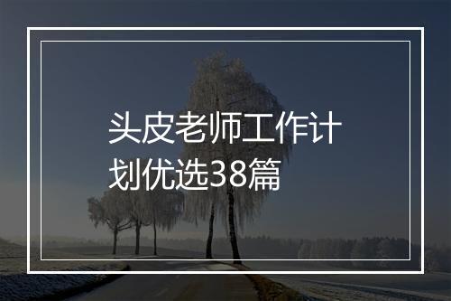 头皮老师工作计划优选38篇