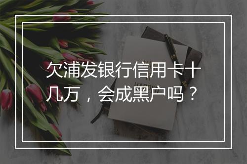 欠浦发银行信用卡十几万，会成黑户吗？