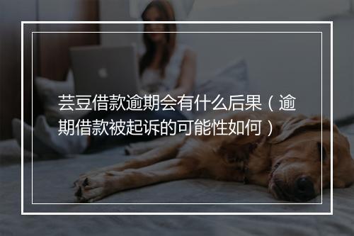 芸豆借款逾期会有什么后果（逾期借款被起诉的可能性如何）