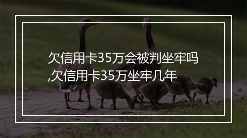 欠信用卡35万会被判坐牢吗,欠信用卡35万坐牢几年