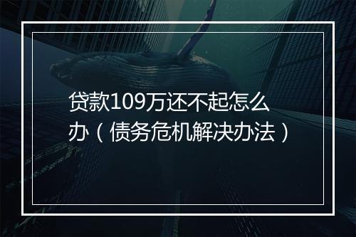 贷款109万还不起怎么办（债务危机解决办法）
