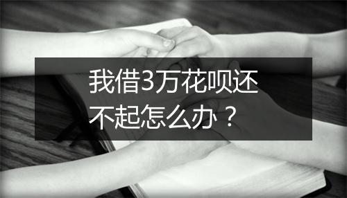 我借3万花呗还不起怎么办？