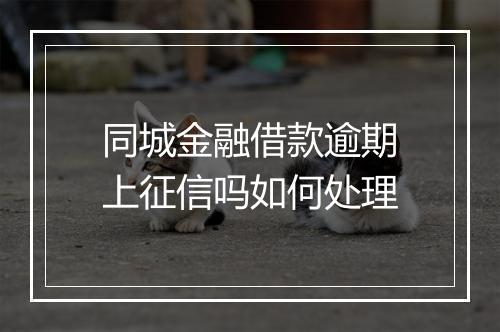 同城金融借款逾期上征信吗如何处理