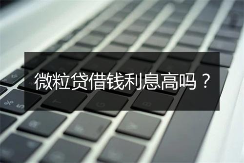 微粒贷借钱利息高吗？