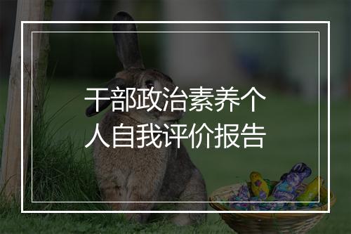 干部政治素养个人自我评价报告