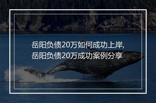 岳阳负债20万如何成功上岸,岳阳负债20万成功案例分享