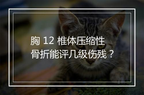 胸 12 椎体压缩性骨折能评几级伤残？